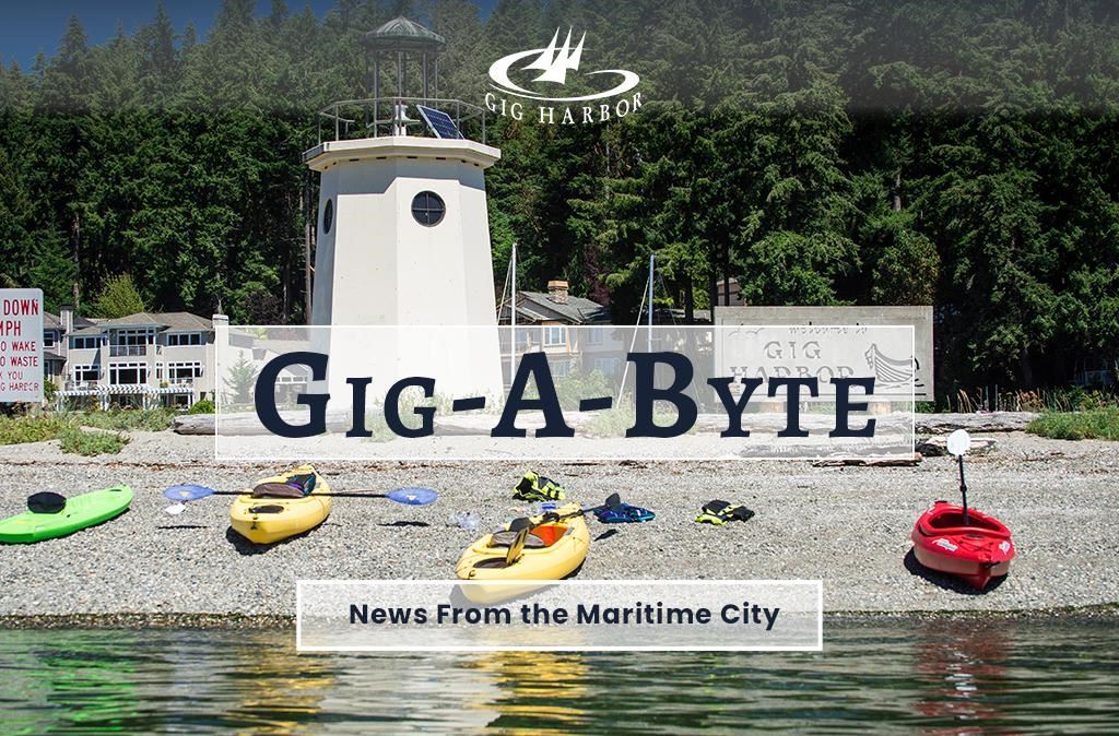 Gig-A-Byte Gig-A-Byte