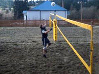 volleyball volleyball